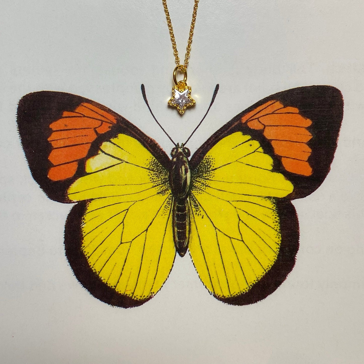 The Magician Necklace